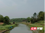 邵阳县九公桥镇：清除10公里河道“水葫芦”“河长治” 激活一江“春水”