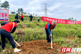 邵阳市疾控中心积极开展义务植树活动