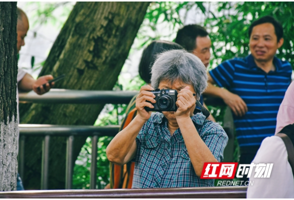 视频 | 一期一会！拍照记录高考现场的奶奶又来啦