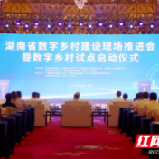 “数字”新土壤，湘村如何耕耘？