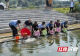 邵阳县森林公安：增殖放流 保护生态