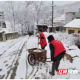 邵阳县金称市镇：党建引领聚合力 向雪而行显担当