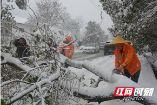 新邵：浴“雪”奋战保平安