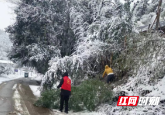 邵阳县小溪市镇：党旗在抗冰雪一线飘扬