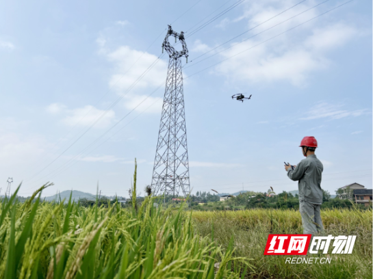 国网邵阳供电公司：“空中侦察兵” 助力秋检保供电
