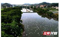 大批候鸟国庆节“打卡”崀山夫夷江