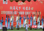 新春走基层丨武冈市晏田乡首届“迎新春•促振兴”美食文化节别样红
