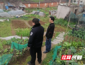 邵阳市大祥区翠园街道：禁种铲毒正当时 全面踏查守净土