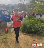 邵阳县五峰铺镇开展“学雷锋”义务植树活动助力生态文明建设