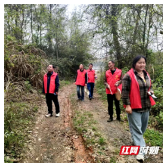 邵东市杨桥镇兰桥村：“党建红”守护“生态绿”织密森林“防火网”