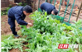 大祥公安：踏查宣传齐发力 禁种铲毒“护净土”