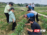 省科协院士工作站绩效考核组来邵调研军杰食品院士工作站