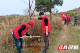 邵阳县七里山场：党建赋能助力打好蓝天保卫战