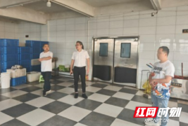 邵阳市大祥区罗市镇开展“五一”安全检查 筑牢安全防范底线