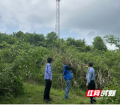 武冈警方破获系列盗窃通信基站设备案