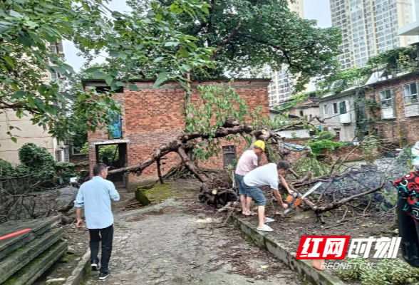 大祥区城西街道：党建引领 提能效汛期应对显担当