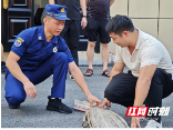 邵阳消防“多渠道全方位”筑牢夏季消防安全防火墙