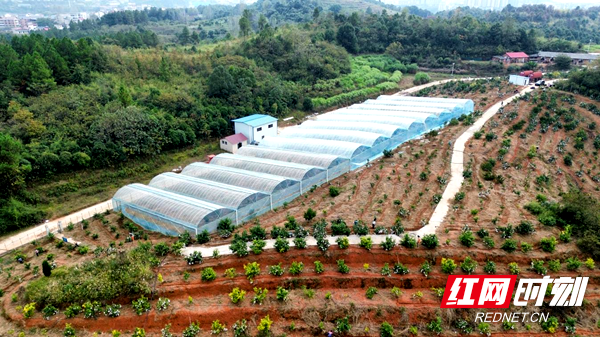 图片4.png 图片4.png