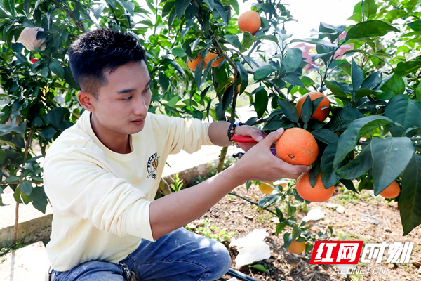 图片5.png 图片5.png