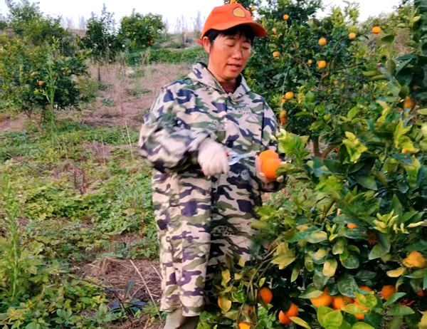 b000dab0-dcf6-486b-a1a7-a5cacc6f7b5c.png b000dab0-dcf6-486b-a1a7-a5cacc6f7b5c.png