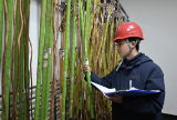 国网邵阳供电公司开展工器具检查筑牢春检安全防线