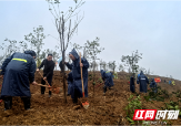 双清检察：植绿添春景 为生态续航