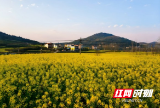 春天里的邵阳｜黄亭市镇：油菜花田引客来 绘就文旅融合新画卷
