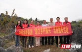 武冈税务：为绿充“植” 守护青山