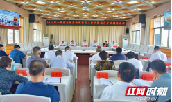 邵阳市一季度社会治理重点工作巩固提升行动调度会议召开
