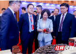 千年药乡借东风 邵阳中医药产业抢滩粤港澳大湾区