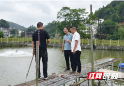 赧水河畔振兴歌——记邵阳市政府办驻蔡山团村工作队