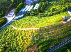 北塔区田江村：“三长”模式擦亮民生幸福底色