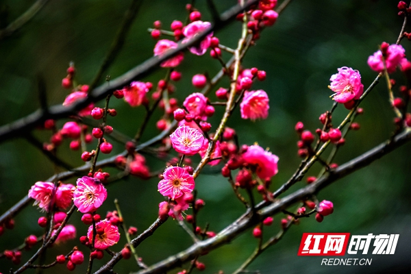 60907ed91c7e43408cc0c05c939e9eb0.jpg 60907ed91c7e43408cc0c05c939e9eb0.jpg