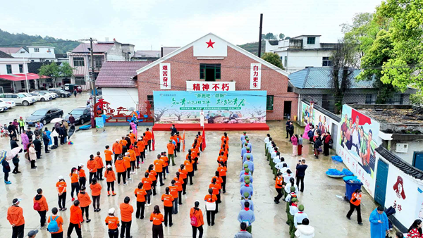 知青韵 桃花香——洞口赏花季暨茶铺知青园创4A推广活动火热进行中