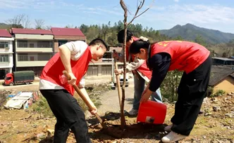 新邵税务：植树添绿正当时 税收春风进乡村