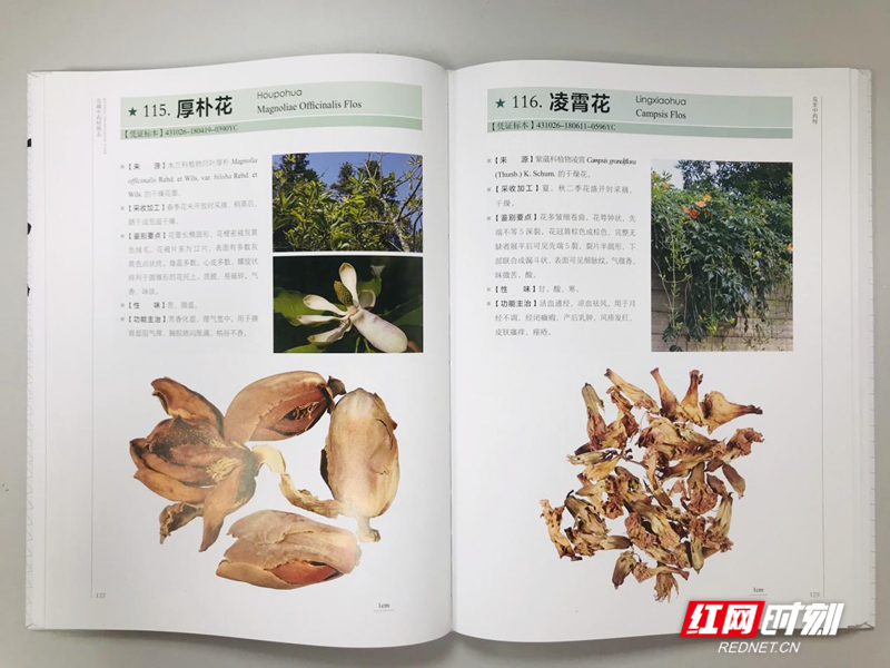 62267c92c357464cbca122e8851c9f95_副本.png