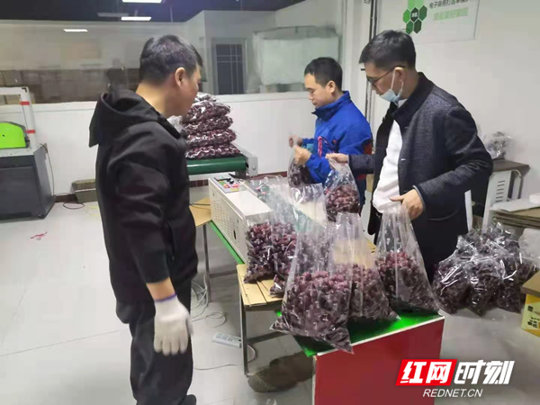 图片3_副本.png