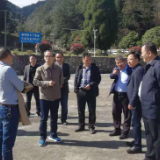 郴州市政协调研苏仙区森林康养产业发展