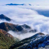 苏仙区：多措并举应对新一轮雨雪冰冻天气