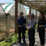 永兴县开展“民企大走访 同心促发展”活动