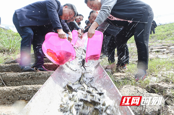 2.（陈卫平摄）_副本.jpg