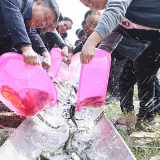 临武县政协：投放鱼苗 助推水域生态改善