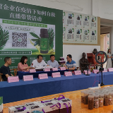 郴州举办“外贸企业在疫情下如何自救”直播研讨会