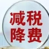 郴州高新区：减税降费稳外贸助出口