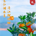 海报 | 秋到清江满园金