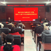 郴州市医疗保障局召开学习贯彻党的十九届六中全会精神宣讲报告会