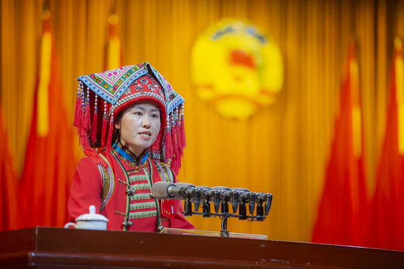 委员建言⑥黄琴探索东江湖生态产品价值实现机制助推郴州国家可持续