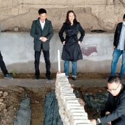 托克逊县的“郴州速度”