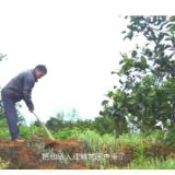 全国脱贫攻坚先进集体｜资兴市扶贫办：产业+就业 精准扶贫全覆盖