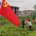 嘉禾：学以致用 让党史教育“落地开花”